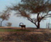 e0123206_14161843.jpg