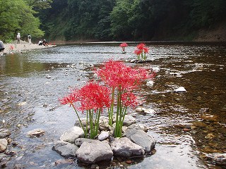 e0121110_20553530.jpg