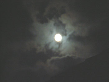 f0040711_100520.jpg