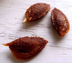 f0036716_14445351.jpg