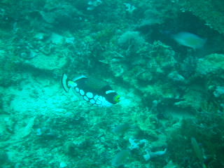 f0142717_23465032.jpg