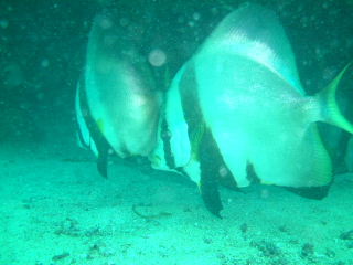 f0142717_234749.jpg