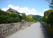 d0042618_0125778.jpg
