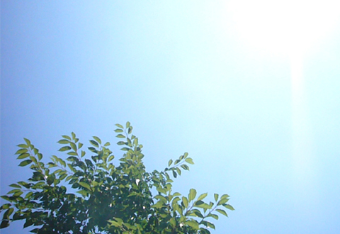 d0042618_1542015.jpg