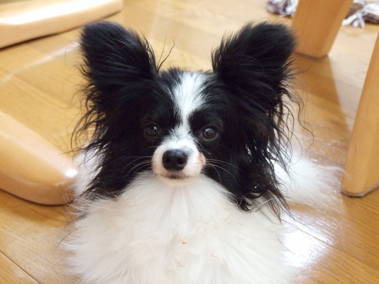 f0135021_11504157.jpg