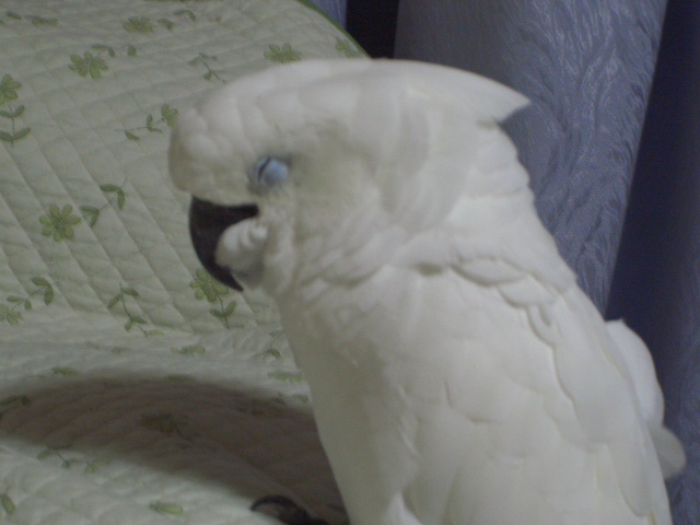 e0107730_17515621.jpg
