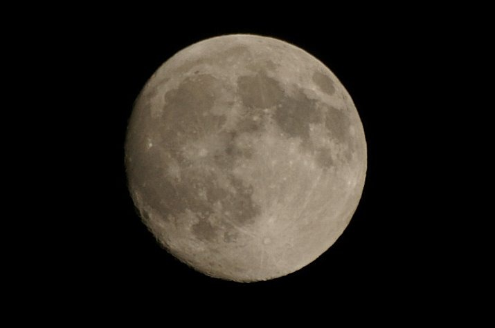 c0106831_237243.jpg
