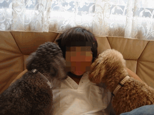 c0136736_9524384.gif