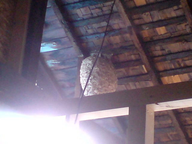 c0105338_17565066.jpg