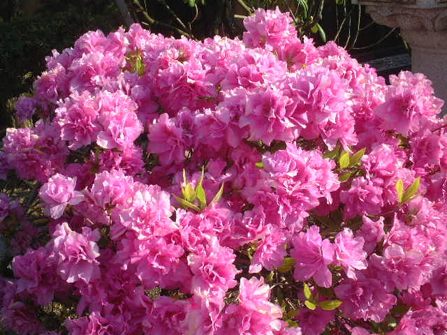 e0126042_12253946.jpg