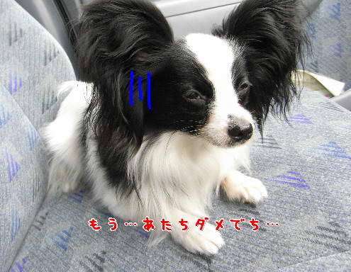d0013149_9443458.jpg