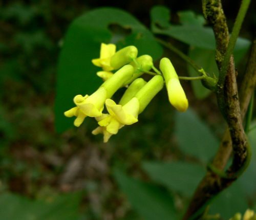 d0091754_1241327.jpg