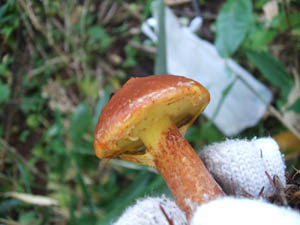 c0097856_030030.jpg