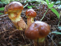 c0097856_0302967.jpg