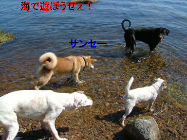 e0079166_2121927.jpg