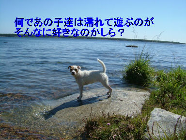 e0079166_21232362.jpg