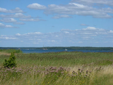 e0079166_21345077.jpg