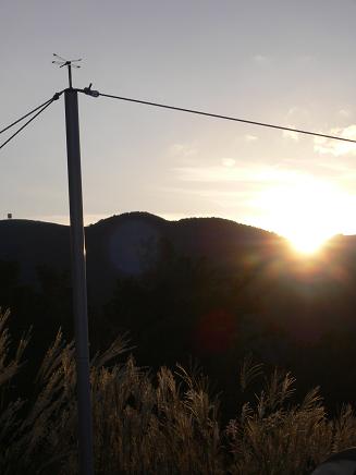 c0099967_084729.jpg