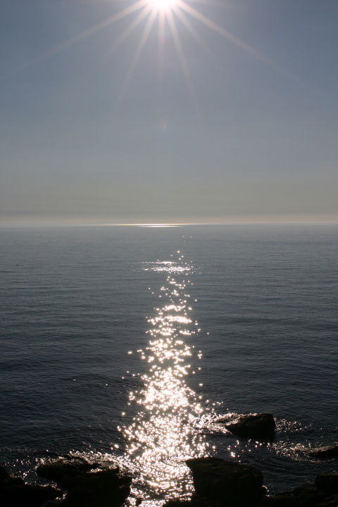 d0079373_8312153.jpg