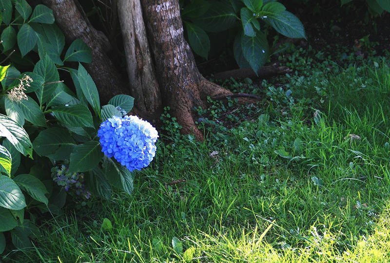 c0112479_2324137.jpg