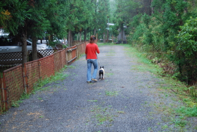 c0092787_122623.jpg