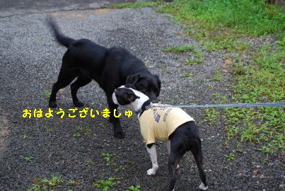 c0092787_12262447.jpg