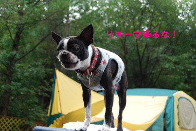c0092787_12342535.jpg