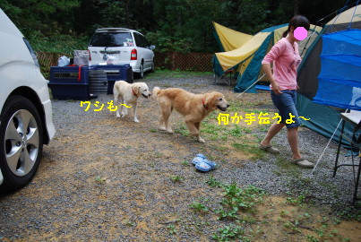 c0092787_12392870.jpg
