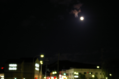 b0080789_19521035.jpg