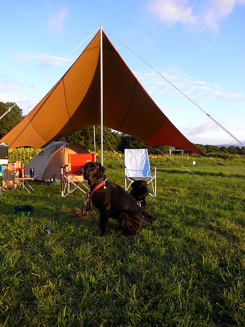 a0093592_23234864.jpg