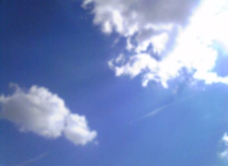d0124206_13251127.jpg
