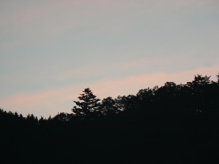 c0086014_22315036.jpg