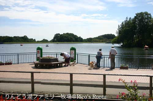 f0078014_185683.jpg