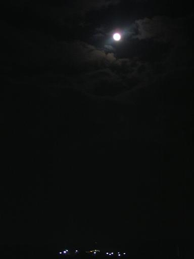 c0116216_1403554.jpg