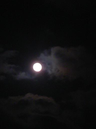 c0116216_14220100.jpg