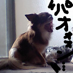 c0036617_189554.jpg