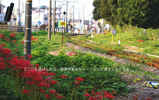 d0006718_11532229.jpg
