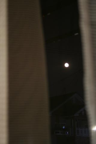 a0078126_8423877.jpg