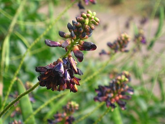 b0086427_124054100.jpg