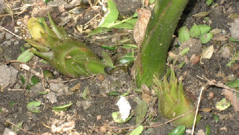 c0110647_2327225.jpg