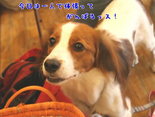 d0013149_0522896.jpg