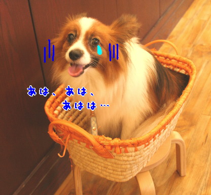 d0013149_1211134.jpg