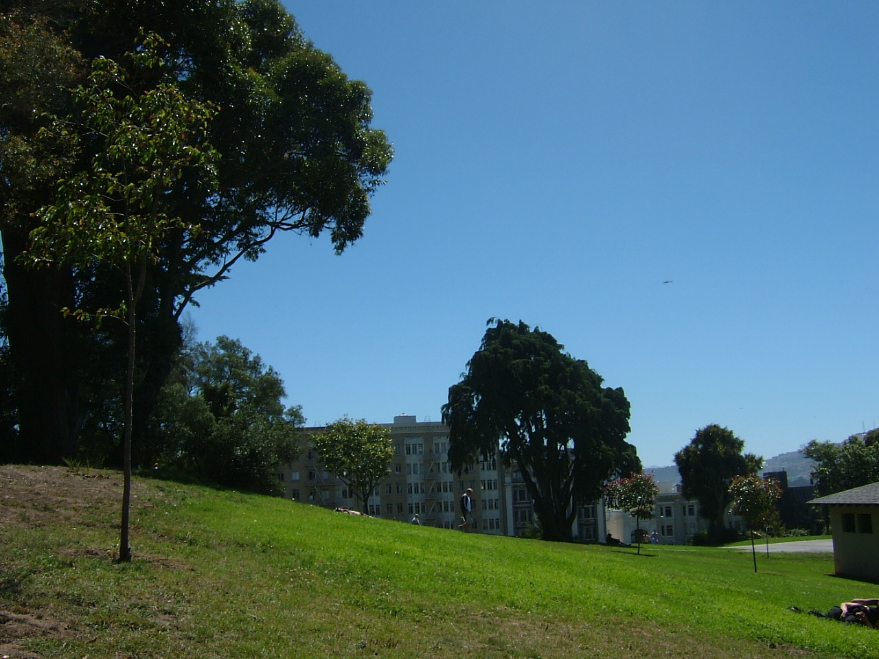 c0078451_8501458.jpg