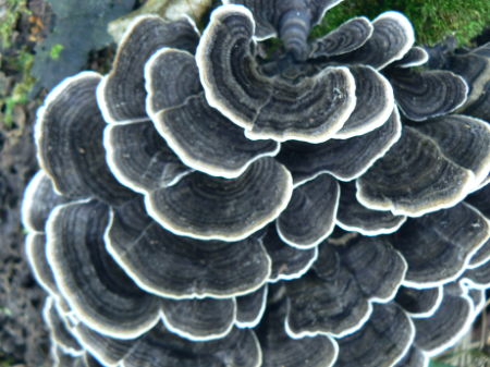 d0091754_18244972.jpg