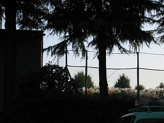 c0127058_1761396.jpg