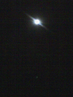 a0073360_3195577.jpg