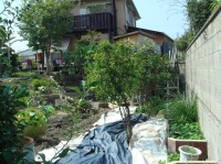 c0108460_1925434.jpg