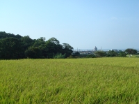 c0108460_19515421.jpg
