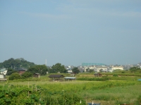 c0108460_19525075.jpg