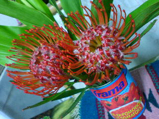 a0038862_20591769.jpg